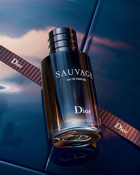 sauvage parfum dior homme|sauvage parfum fragrantica.